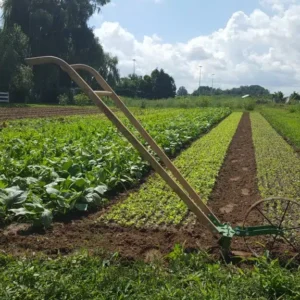 Maraîchage biologique diversifié, kézako ?