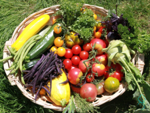 Fruits et légumes