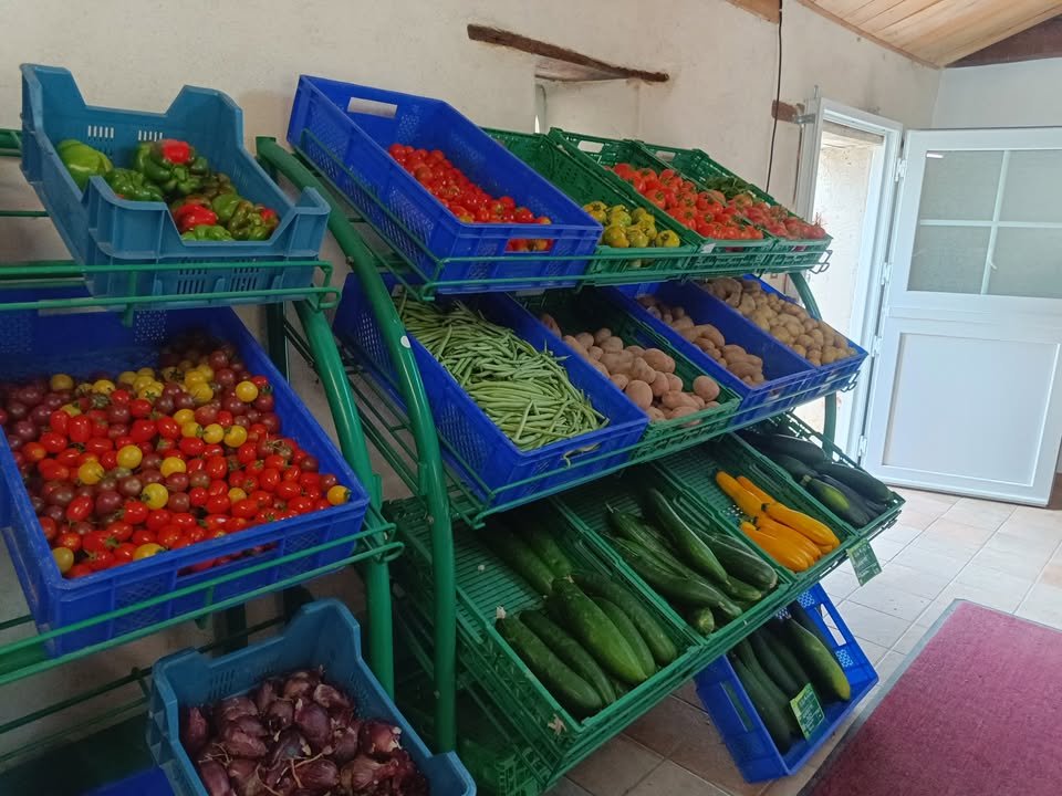 Jardins de La Braille aux Loups - Maraîchage biologique diversifié